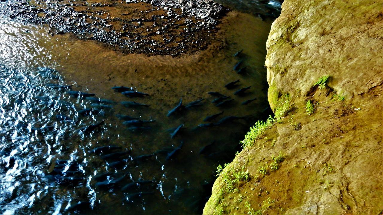 Riverside Ban Cho Lae Exteriör bild